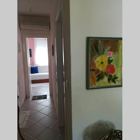 Paradiso